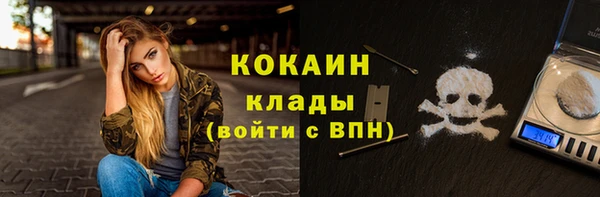 ALPHA PVP Инсар
