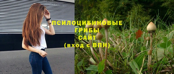ALPHA PVP Инсар