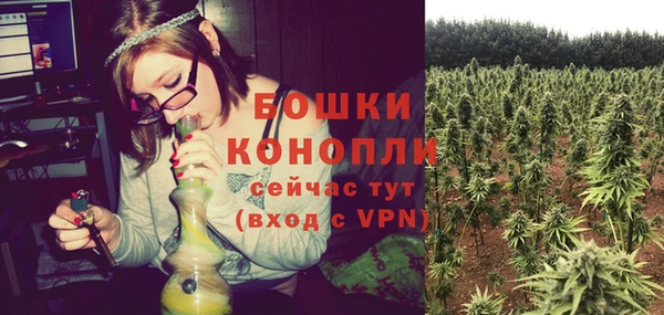 бошки Иннополис