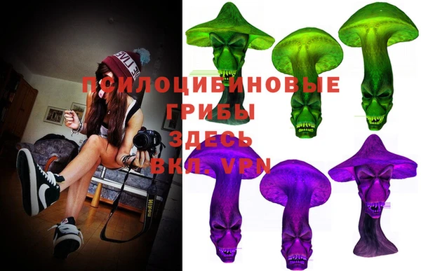 бошки Иннополис