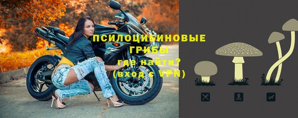 ALPHA PVP Инсар