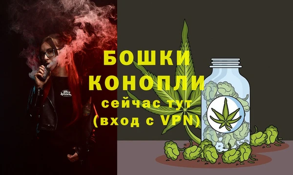 бошки Иннополис