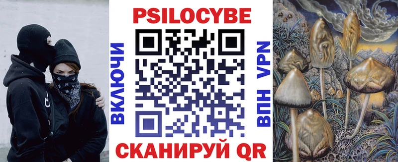 mega как войти  Саранск  Псилоцибиновые грибы мицелий 
