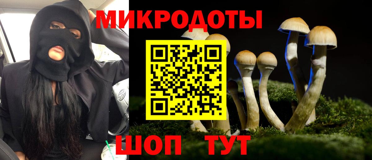 Саранск  Псилоцибиновые грибы Psilocybine cubensis  Вход с VPN 